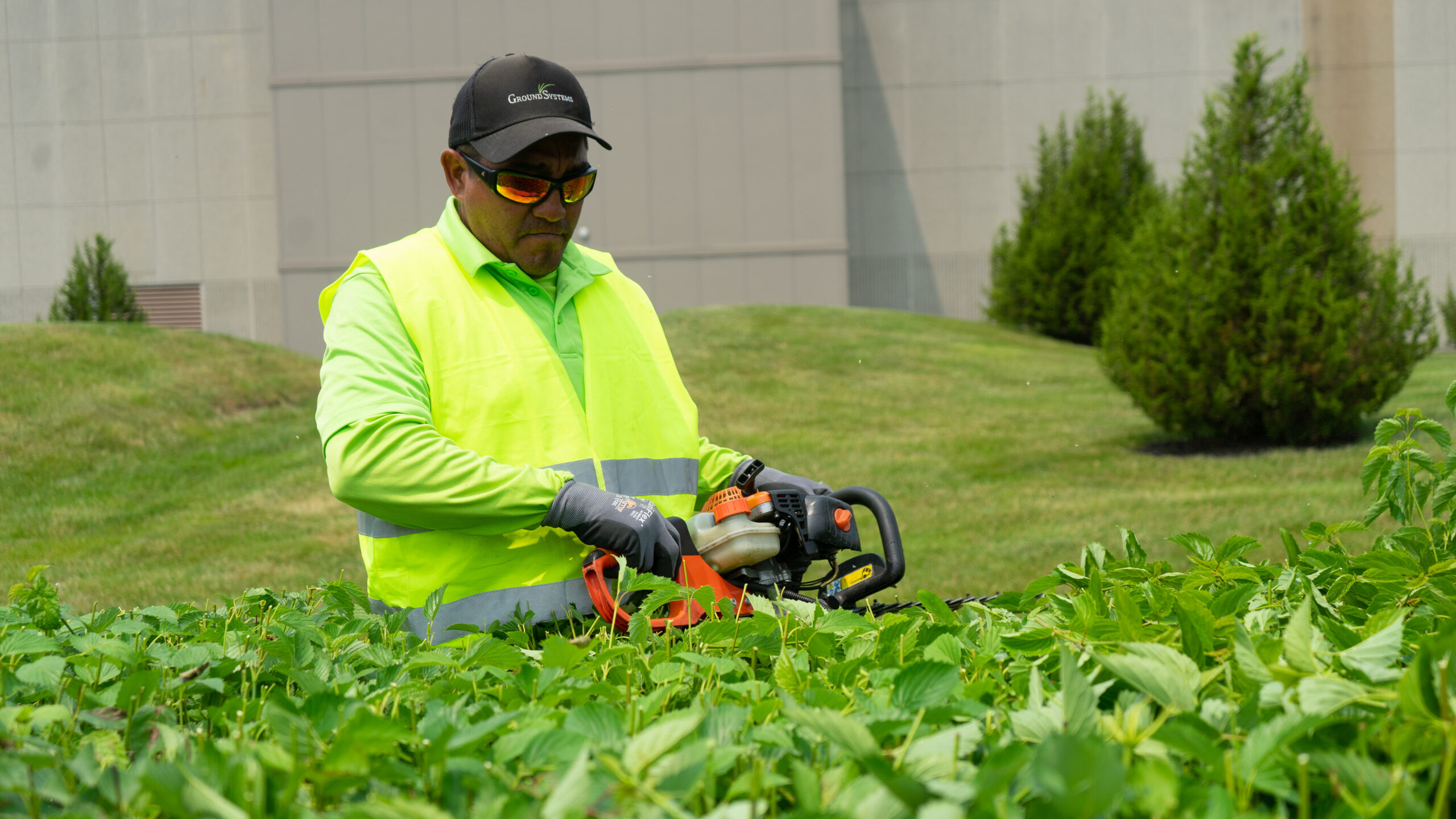 Protect Your Trees & Shrubs This Fall