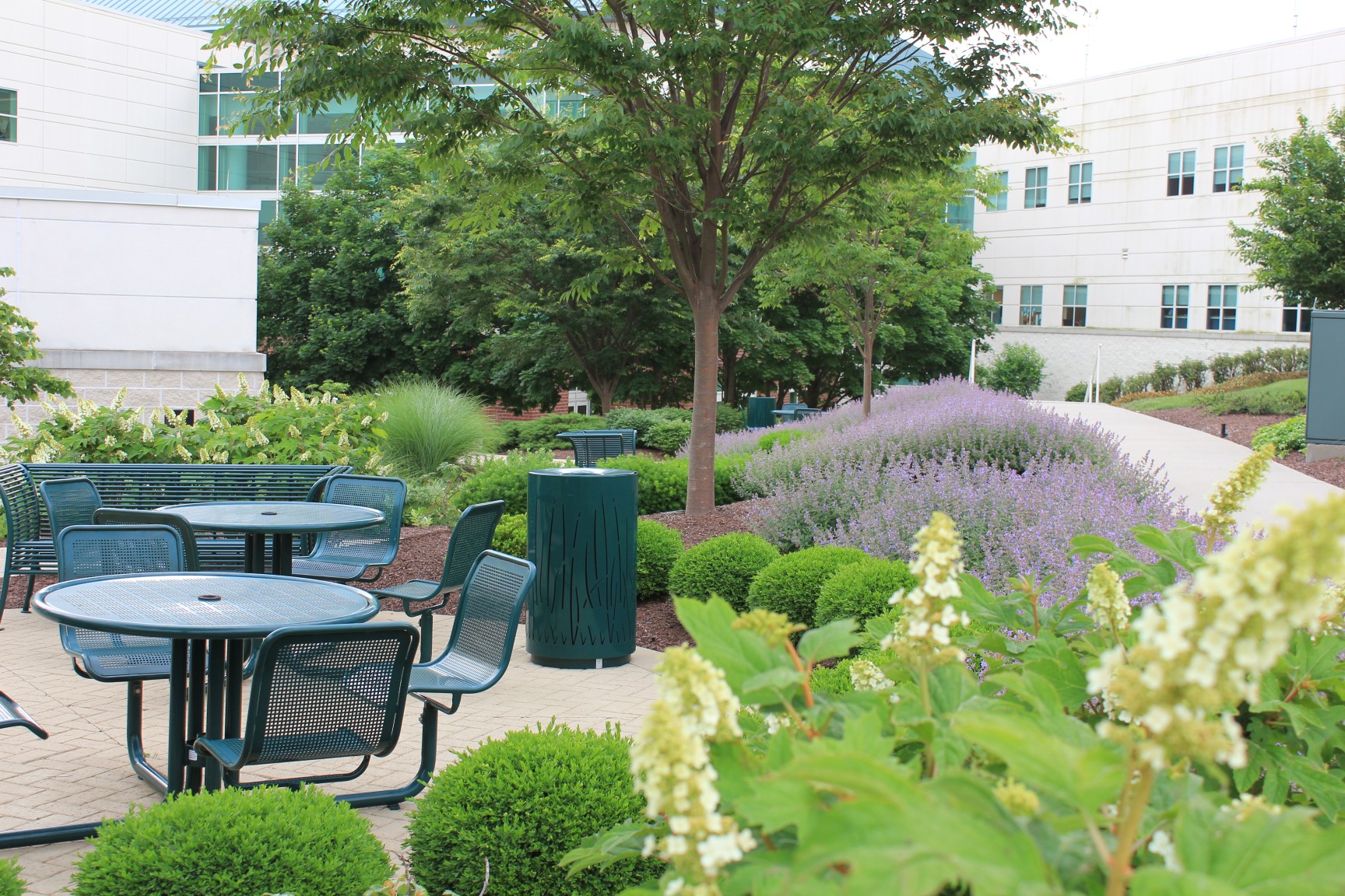 Professional landscaping for hospitals and healthcare facilities