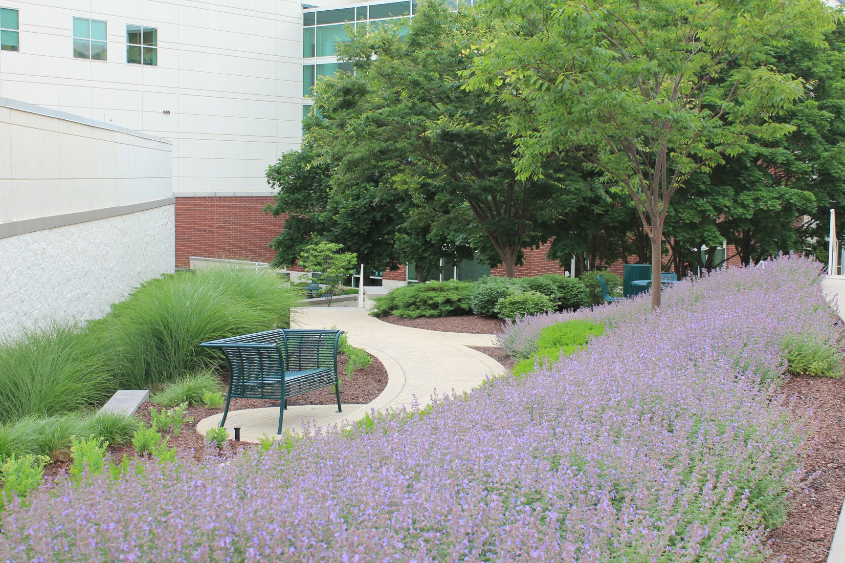 Landscape Maintenance services for hospitals and healthcare facilities.