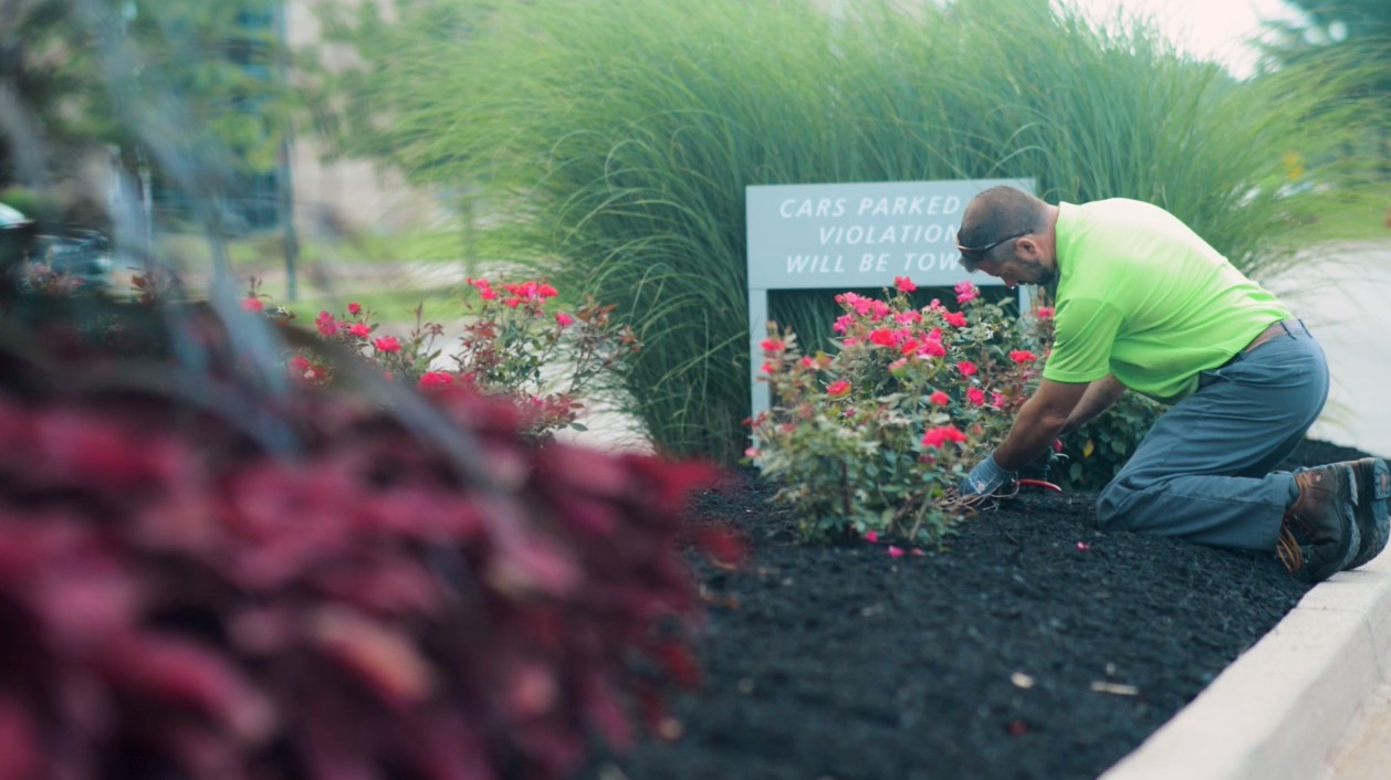 Cincinnati Commercial Landscaping Services