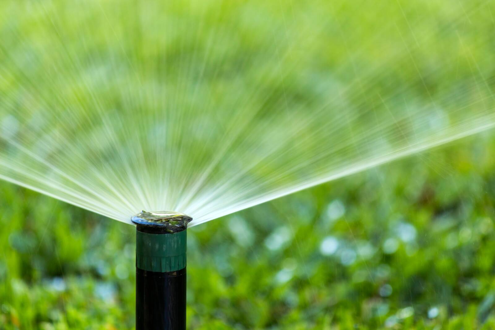Commercial Irrigation Inspections: A Facility Manager’s Guide